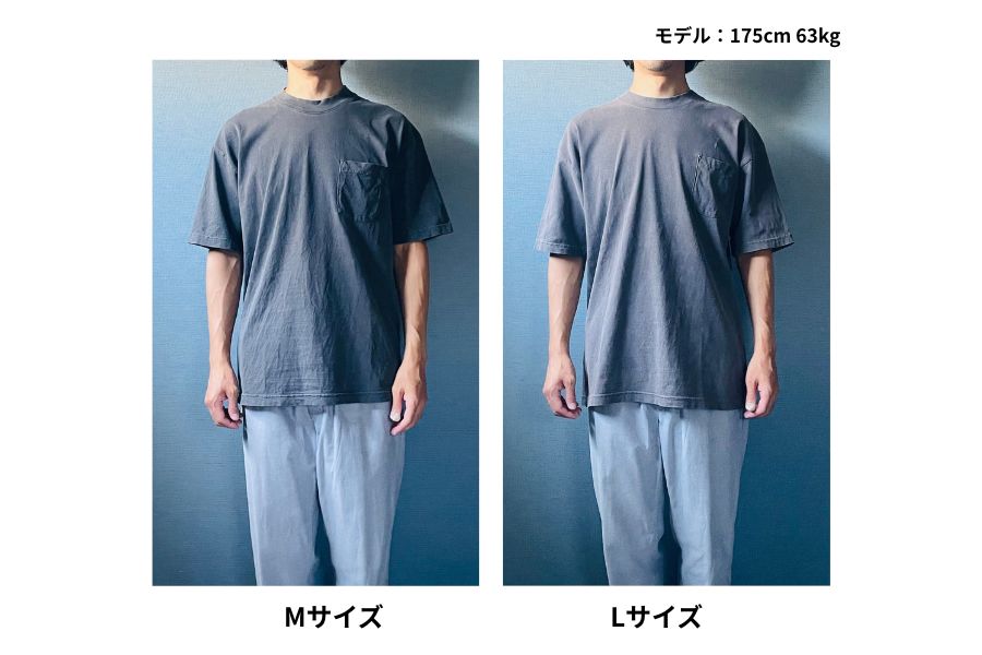 M,L着用　画像